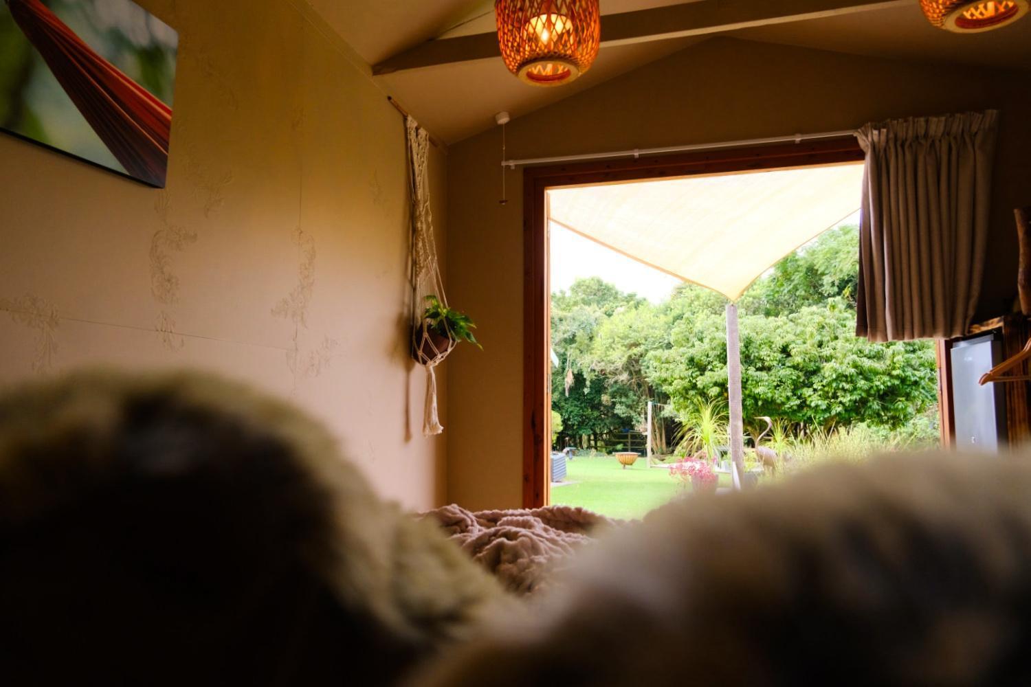 Bwhale Guest House B&B Knysna Luaran gambar